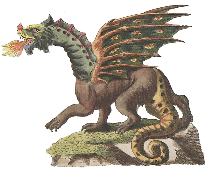 dragon fight image